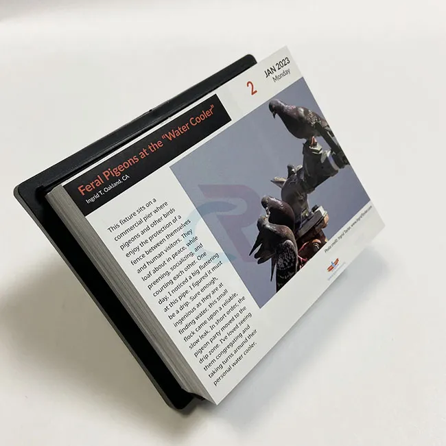 Kuinka mukautettuja malleja voidaan sisällyttää repeytyviin sivu päivässä -kalentereihin?